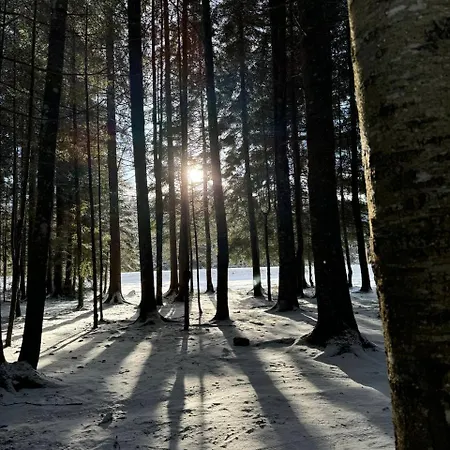 кичера * Krivopillja